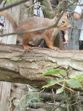 那須どうぶつ王国に投稿された画像（2024/8/12）