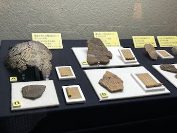 岐阜県博物館に投稿された画像（2024/8/12）