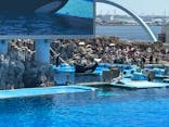 名古屋港水族館に投稿された画像（2024/8/12）