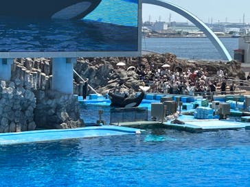 名古屋港水族館に投稿された画像（2024/8/12）
