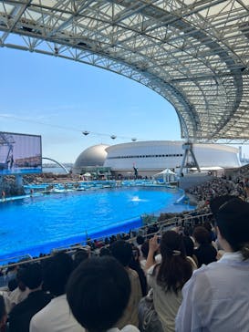 名古屋港水族館に投稿された画像（2024/8/12）