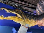 巨大恐竜展2024に投稿された画像（2024/8/12）
