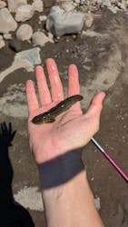 小田原F.B.C.に投稿された画像（2024/8/12）