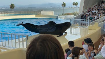 マリンワールド海の中道に投稿された画像（2024/8/12）