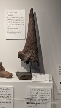 DinoScience 恐竜科学博 ～ララミディア大陸の恐竜物語～ 2024@OSAKAに投稿された画像（2024/8/12）