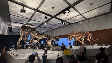 DinoScience 恐竜科学博 ～ララミディア大陸の恐竜物語～ 2024@OSAKAに投稿された画像（2024/8/12）