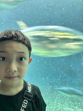 葛西臨海水族園に投稿された画像（2024/8/12）