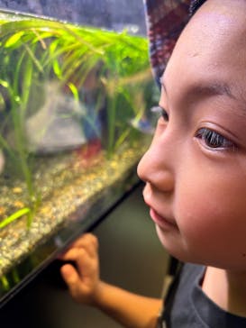 葛西臨海水族園に投稿された画像（2024/8/12）