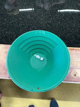 土肥金山に投稿された画像（2024/8/12）