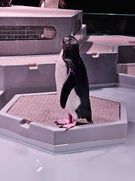 AOAO SAPPOROに投稿された画像（2024/8/12）