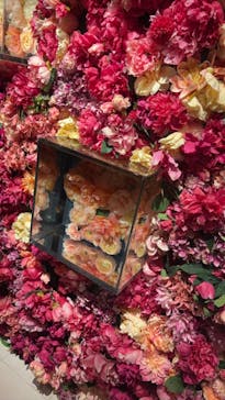 NARA KINGYO MUSEUMに投稿された画像（2024/8/12）