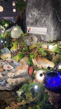 NARA KINGYO MUSEUMに投稿された画像（2024/8/12）