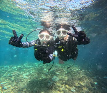 沖縄マリンサービス碧に投稿された画像（2024/8/12）