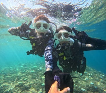 沖縄マリンサービス碧に投稿された画像（2024/8/12）