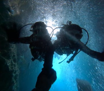 沖縄マリンサービス碧に投稿された画像（2024/8/12）