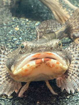 マリンワールド海の中道に投稿された画像（2024/8/12）