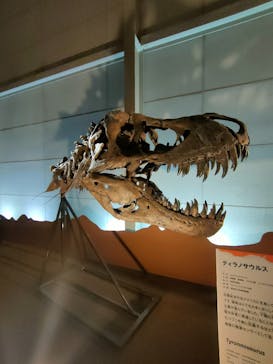 巨大恐竜展2024に投稿された画像（2024/8/12）