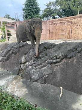 日立市かみね動物園に投稿された画像（2024/8/12）