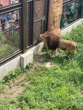 日立市かみね動物園に投稿された画像（2024/8/12）