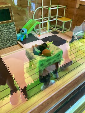 おさるランド＆アニタウン　日光さる軍団劇場に投稿された画像（2024/8/12）