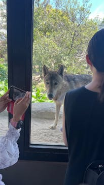 神戸どうぶつ王国に投稿された画像（2024/8/12）