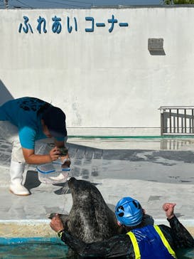 南知多ビーチランド＆南知多おもちゃ王国に投稿された画像（2024/8/12）