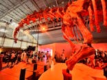 巨大恐竜展2024に投稿された画像（2024/8/12）