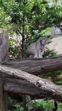 那須どうぶつ王国に投稿された画像（2024/8/12）