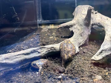 体感型動物園iZooに投稿された画像（2024/8/12）