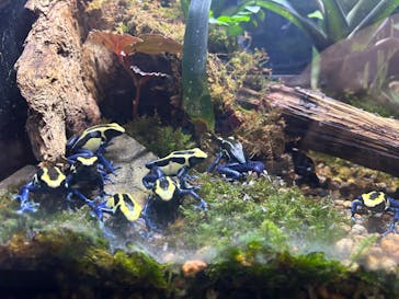 体感型動物園iZooに投稿された画像（2024/8/12）