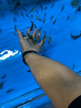 越前松島水族館に投稿された画像（2024/8/12）