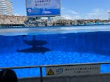 名古屋港水族館に投稿された画像（2024/8/12）