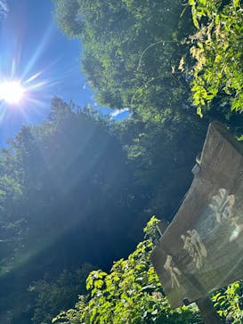 ジャパンだるまツアーに投稿された画像（2024/8/12）