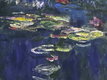 モネ＆フレンズ・アライブに投稿された画像（2024/8/12）