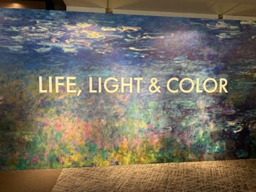 モネ＆フレンズ・アライブに投稿された画像（2024/8/12）