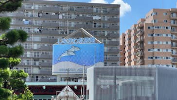 しながわ水族館に投稿された画像（2024/8/12）