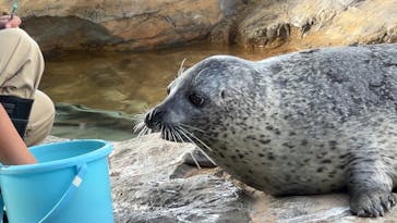 しながわ水族館に投稿された画像（2024/8/12）