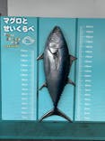 葛西臨海水族園に投稿された画像（2024/8/12）