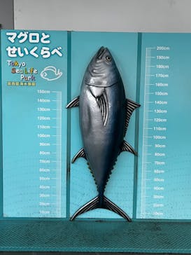 葛西臨海水族園に投稿された画像（2024/8/12）