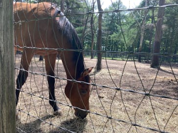 ノーザンホースパークに投稿された画像（2024/8/12）