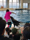 アクアワールド茨城県大洗水族館に投稿された画像（2024/8/12）