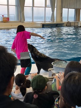 アクアワールド茨城県大洗水族館に投稿された画像（2024/8/12）