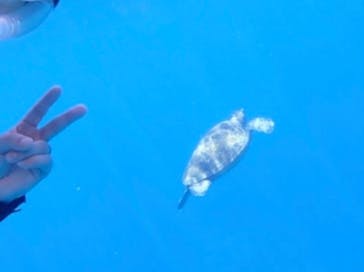 オーシャンブルヴァードに投稿された画像（2024/8/12）