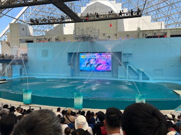 横浜・八景島シーパラダイス　プレジャーランドに投稿された画像（2024/8/12）