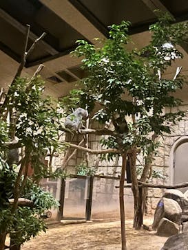 名古屋市東山動植物園に投稿された画像（2024/8/12）