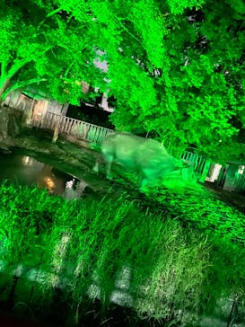 名古屋市東山動植物園に投稿された画像（2024/8/12）