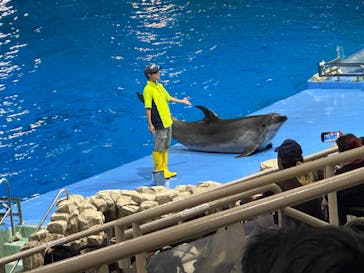 名古屋港水族館に投稿された画像（2024/8/12）