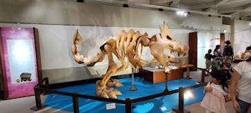 岐阜県博物館に投稿された画像（2024/8/12）