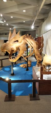 岐阜県博物館に投稿された画像（2024/8/12）