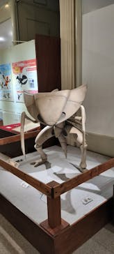 岐阜県博物館に投稿された画像（2024/8/12）